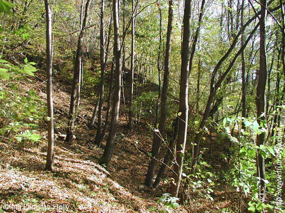 Odry, Přírodní park Oderské vrchy